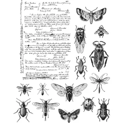Entomology Stamp Set