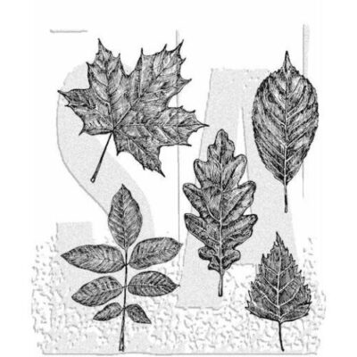 Sketchy Leaves Stamps – Stampers Anonymous