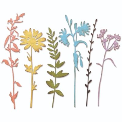 Sizzix Thinlits Dies – Vault Wildflowers